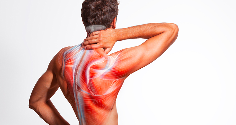 Fish Family Chiro | Truck Wreck Injury